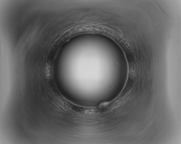 X0000116421490200912081453
