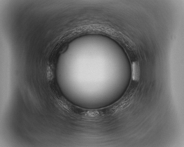 X0000116421491200912081453