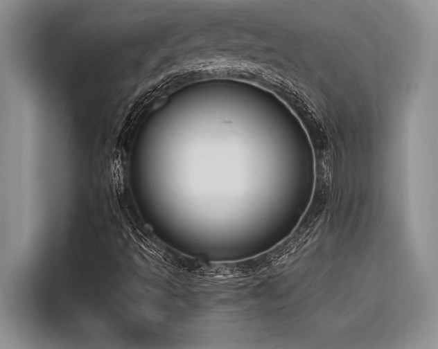 X0000116421493200912081453