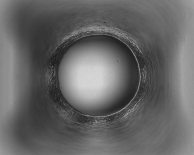X0000116421494200912081453