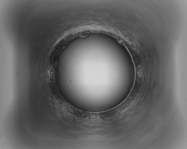 X0000116421495200912081453
