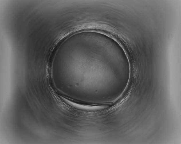X0000116421497200912081453