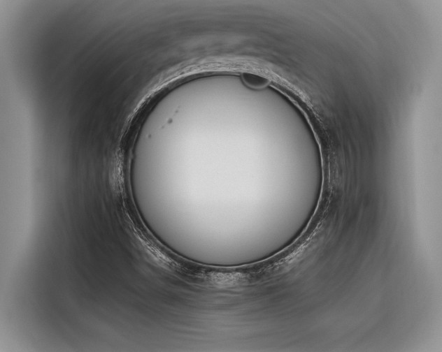 X0000116421498200912081453
