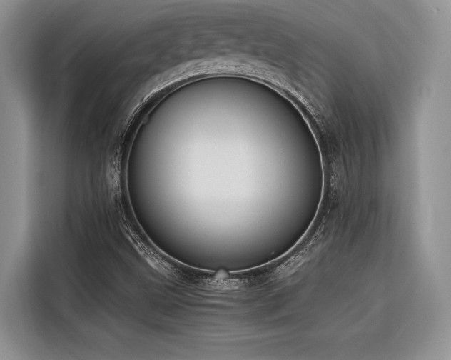 X0000116421499200912081453