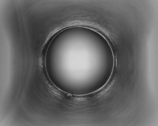 X0000116421501200912081453
