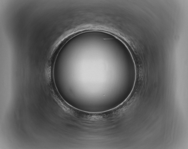 X0000116421503200912081453