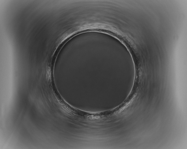 X0000116421505200912081453