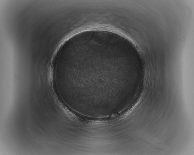 X0000116421506200912081453