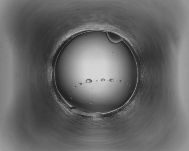 X0000116421507200912081453