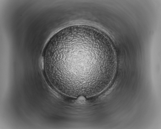 X0000116421509200912081453