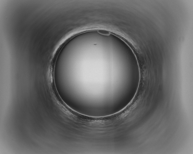 X0000116421510200912081453