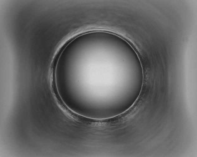 X0000116421511200912081453