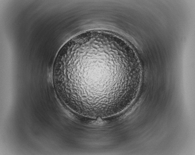 X0000116421513200912081453