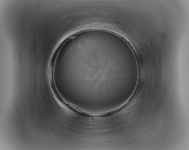 X0000116421515200912081454