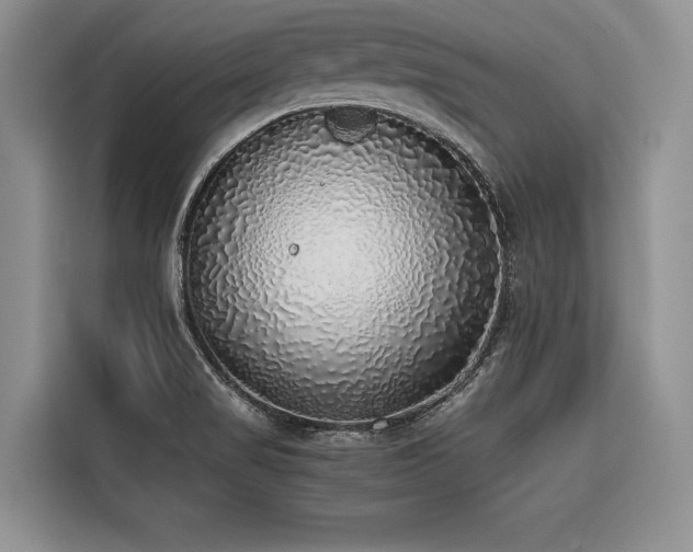 X0000116421517200912081454
