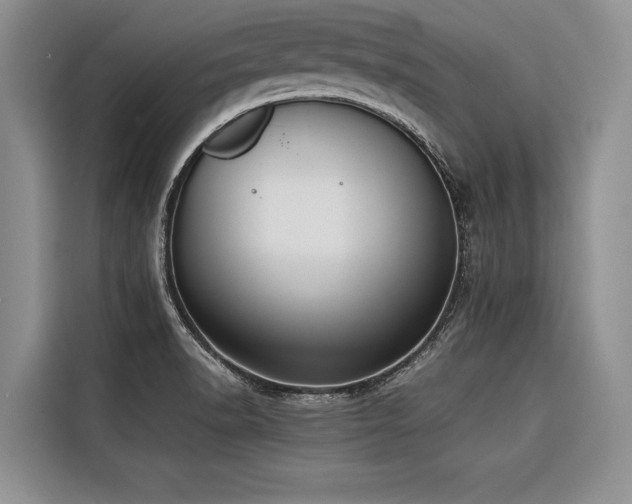 X0000116421518200912081454