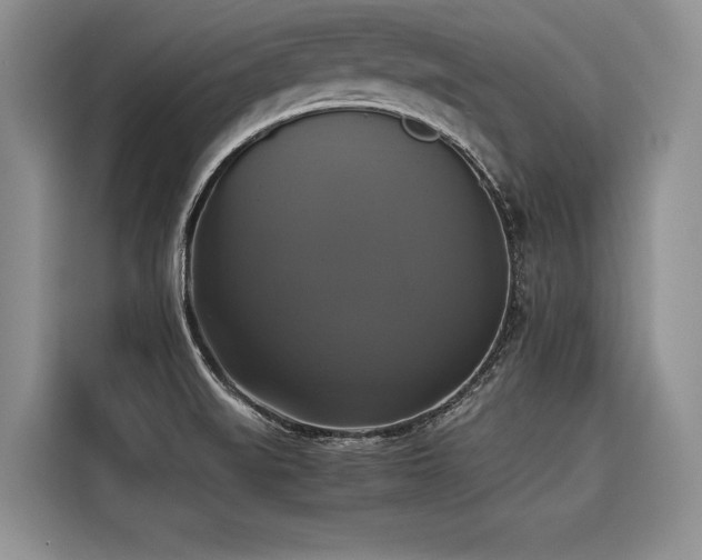 X0000116421519200912081454