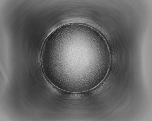 X0000116421521200912081454
