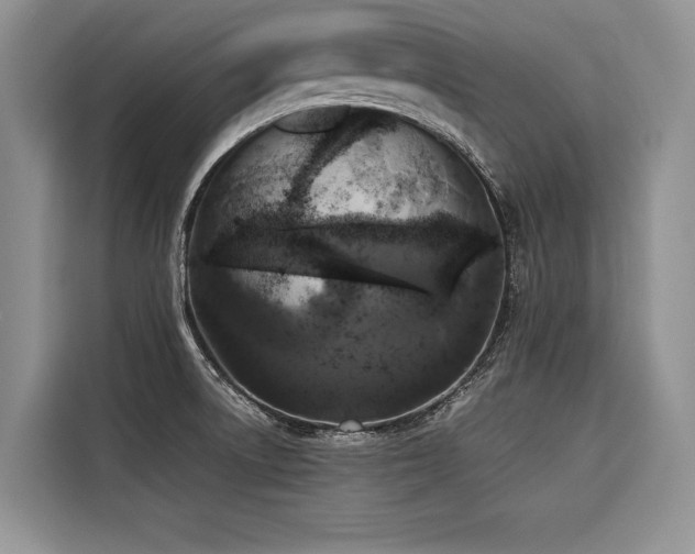 X0000116421522200912081454