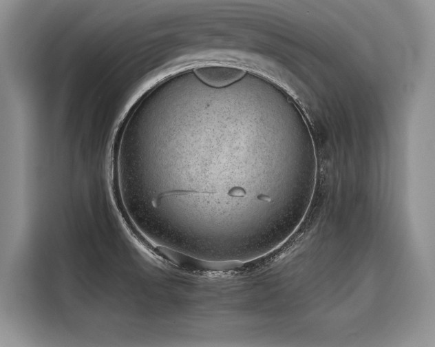 X0000116421523200912081454