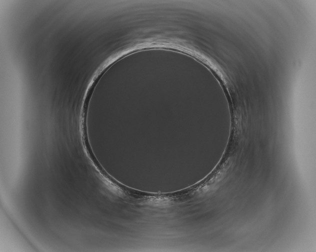 X0000116421525200912081454