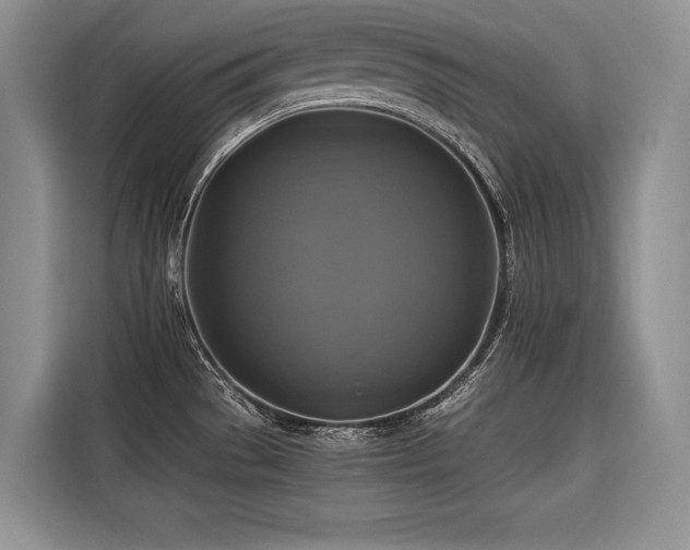 X0000116421529200912081454