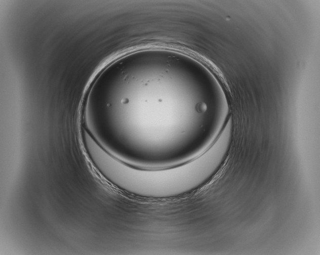 X0000116421530200912081454