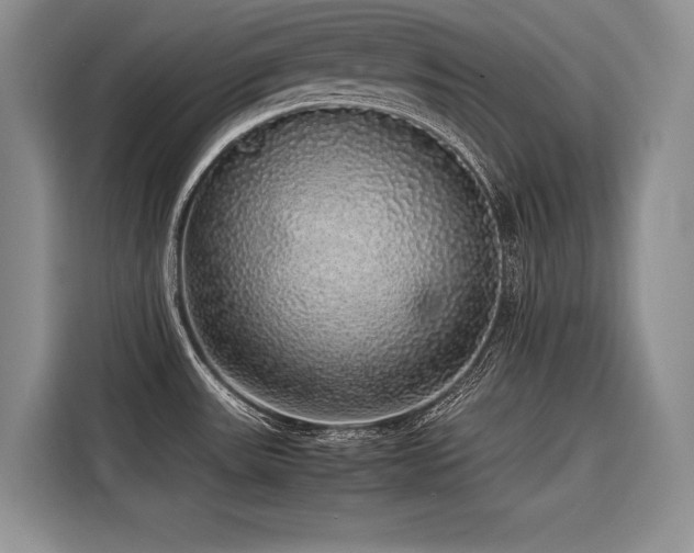 X0000116421531200912081454