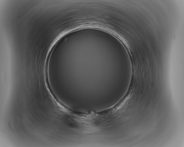 X0000116421533200912081454