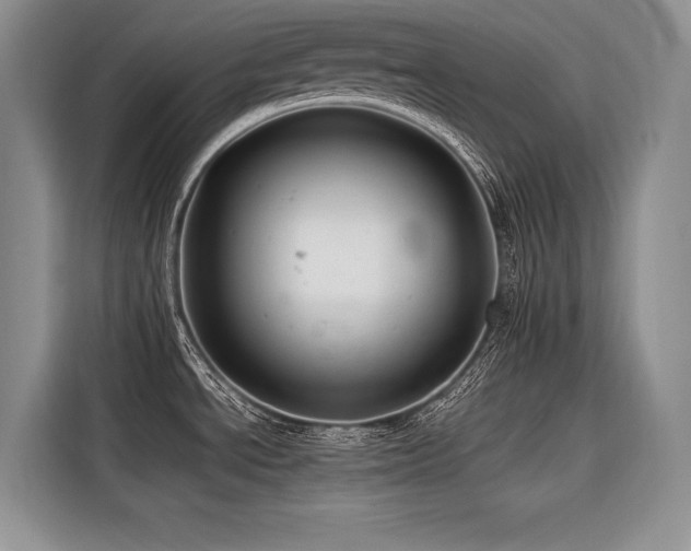 X0000116421534200912081454