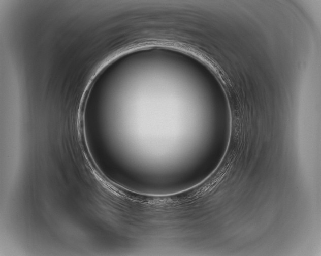 X0000116421535200912081454