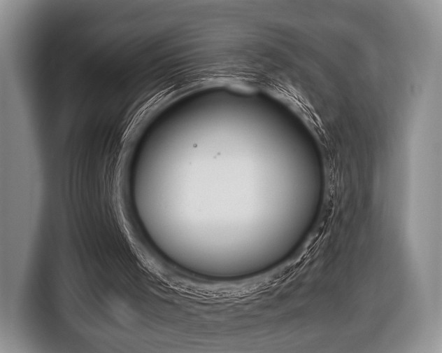 X0000116420001200912151007