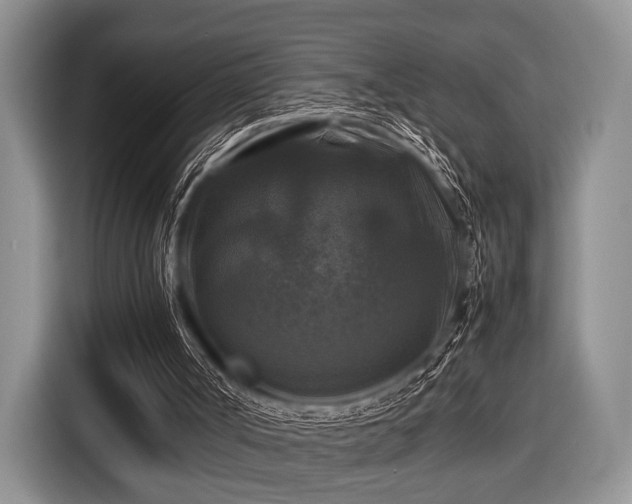 X0000116420002200912151007