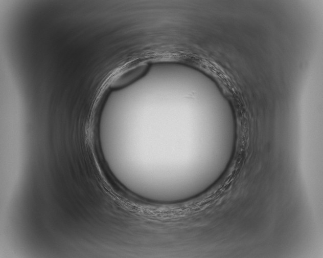 X0000116420003200912151007