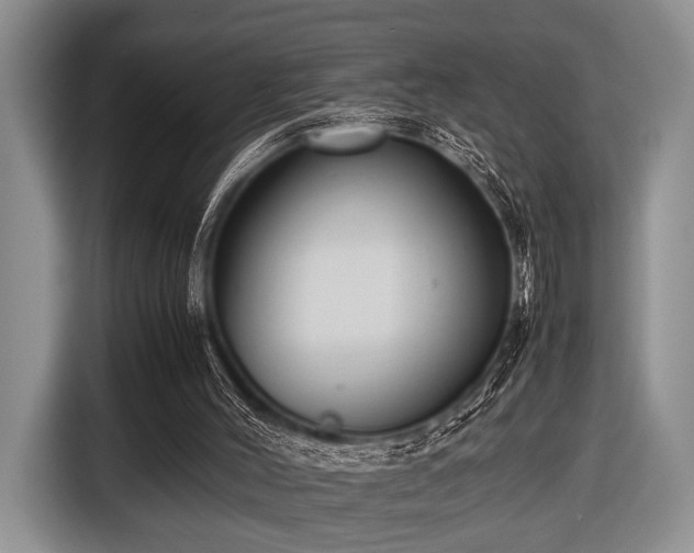 X0000116420004200912151007