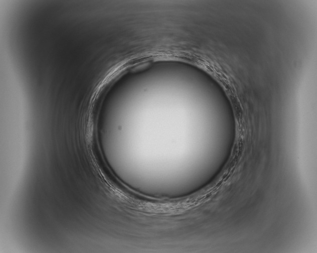X0000116420005200912151007