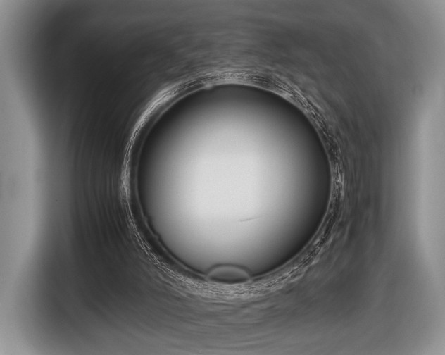 X0000116420006200912151007