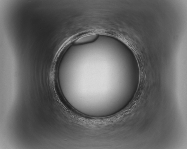 X0000116420007200912151007