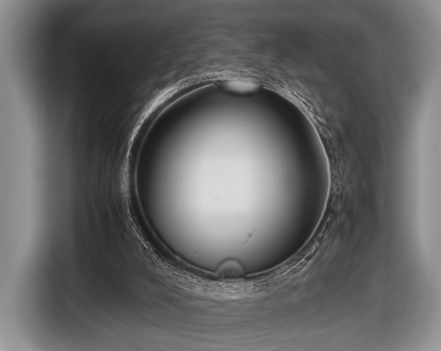 X0000116420008200912151007