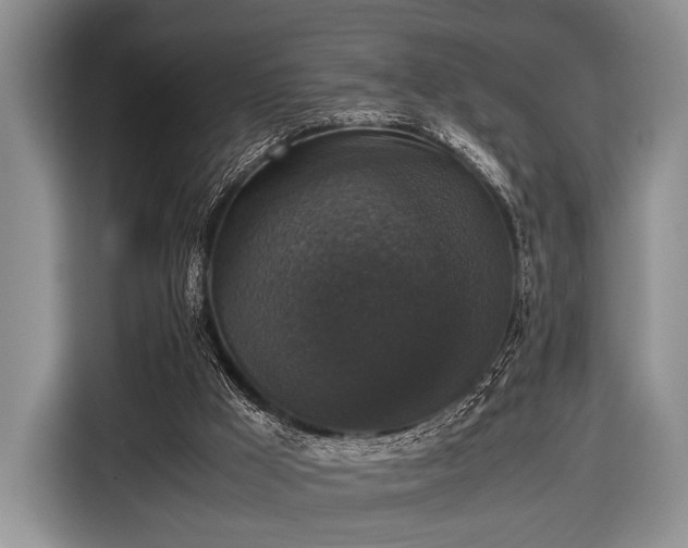 X0000116420009200912151007
