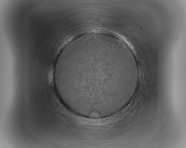 X0000116420010200912151007