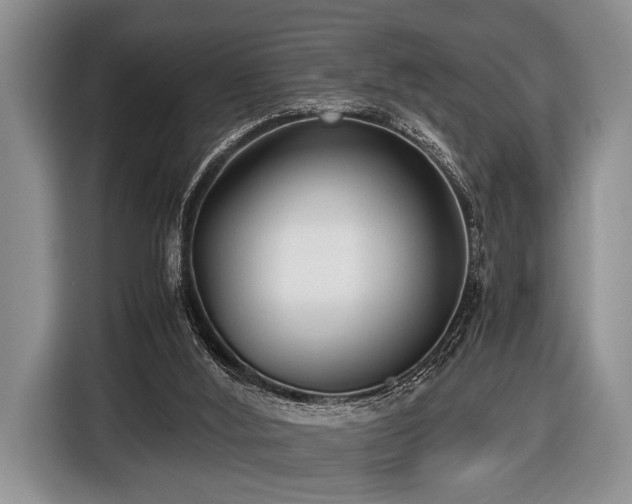 X0000116420012200912151007