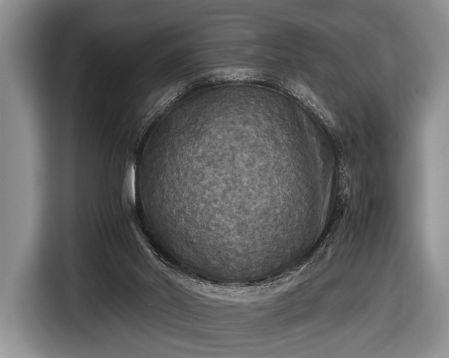 X0000116420014200912151007