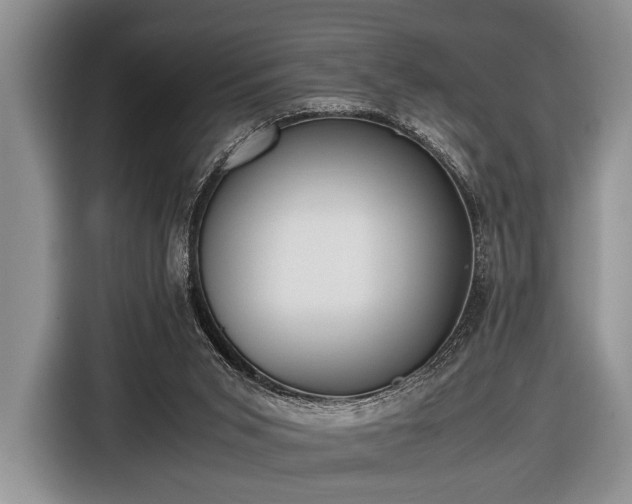 X0000116420015200912151007