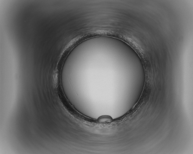 X0000116420016200912151007