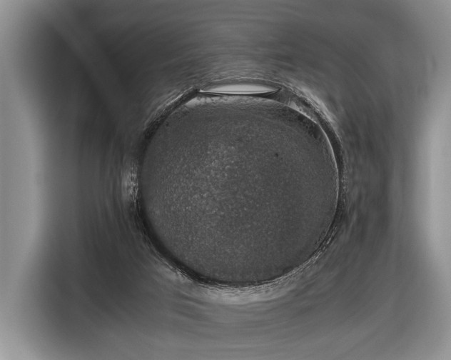 X0000116420017200912151007
