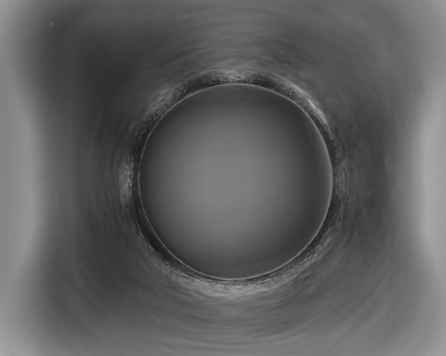 X0000116420018200912151007