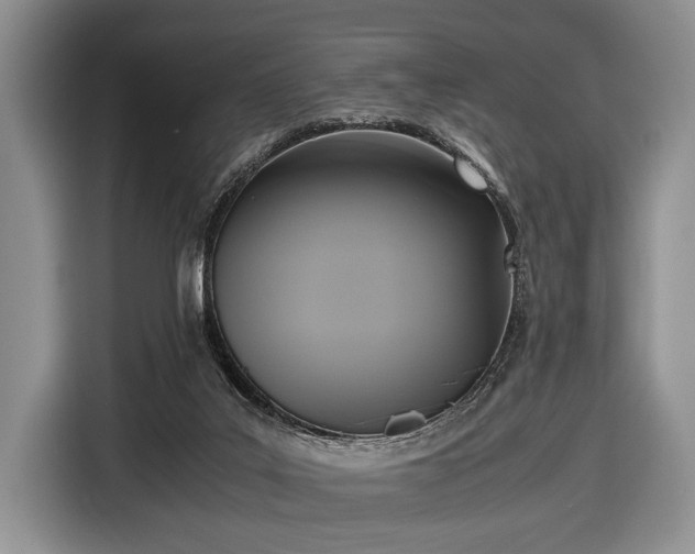 X0000116420019200912151007