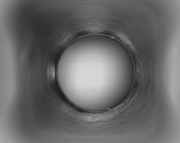X0000116420021200912151007