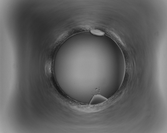 X0000116420023200912151007